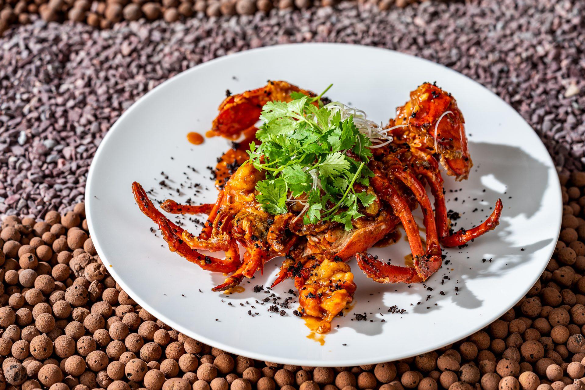 Wok fried angry lobster at Spago, seafood restaurant in Riyadh - Cool Inc