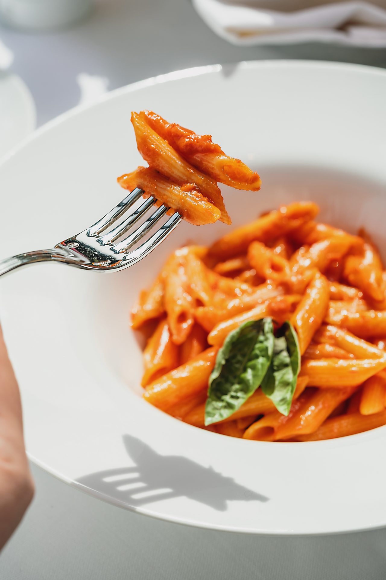 Penne Madeo: A Classic Pasta Dish Served at MADEO, a Luxury Italian Restaurant in Riyadh - Cool Inc